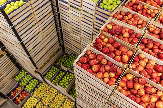 nandikoti_Fruits & vegetables Cold Storage Room